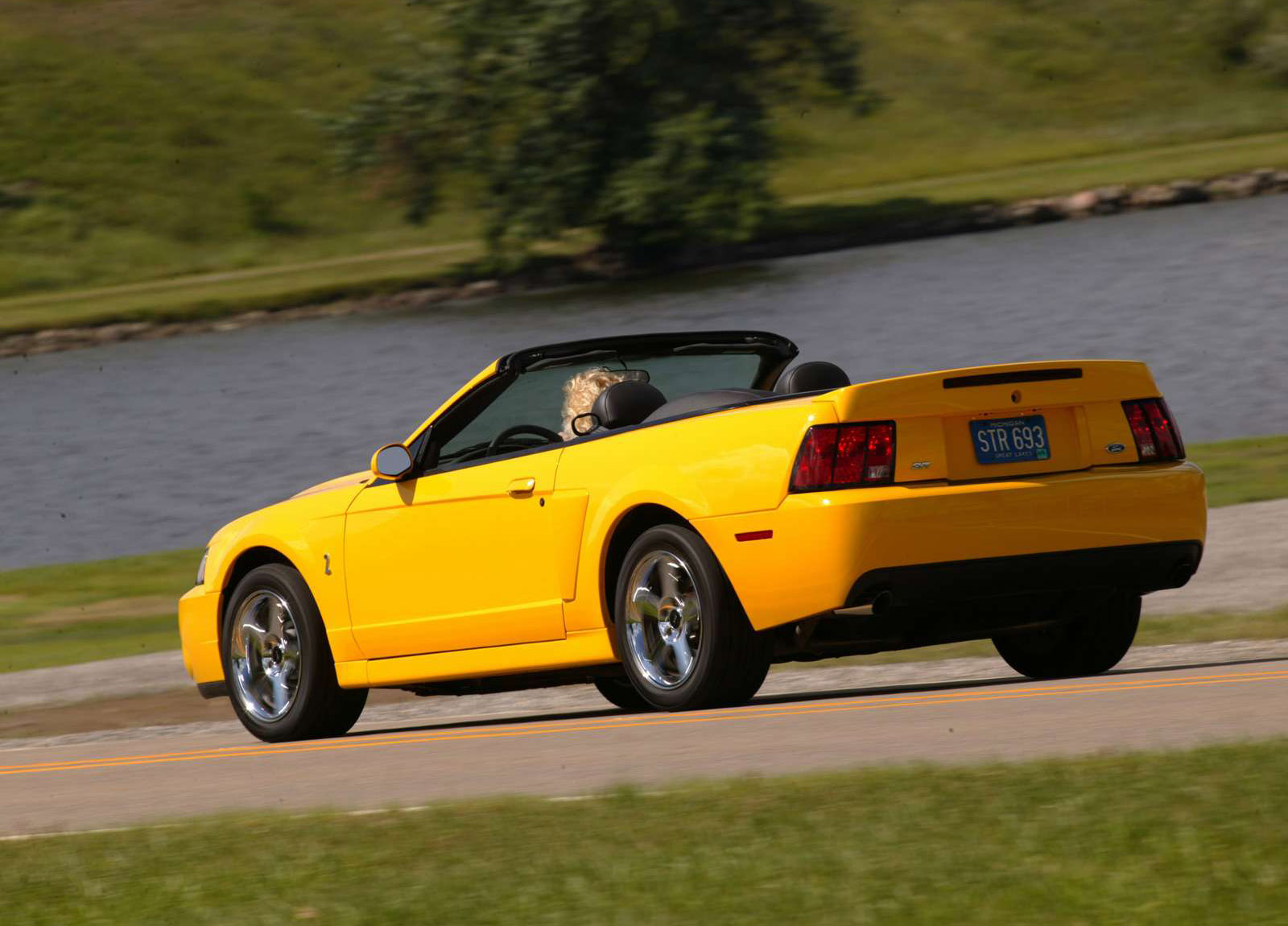 Ford Mustang SVT Cobra Convertible photo #14