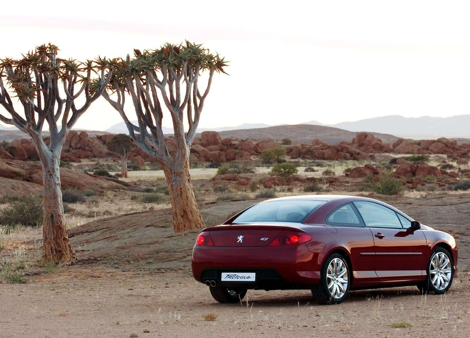 Peugeot 407 Prologue Concept photo #41