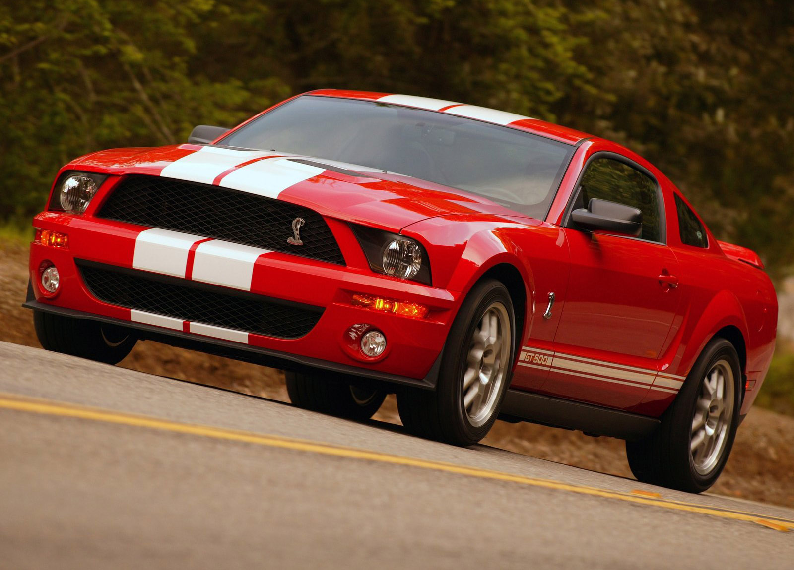 Shelby Ford Mustang GT500 photo #16