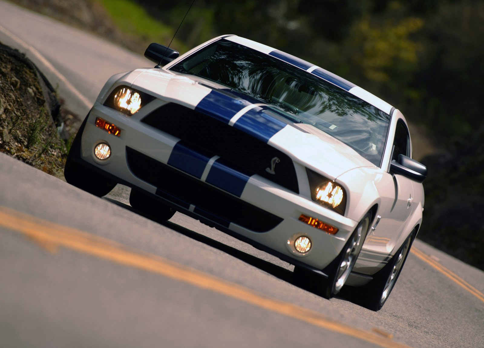 Shelby Ford Mustang GT500 photo #18