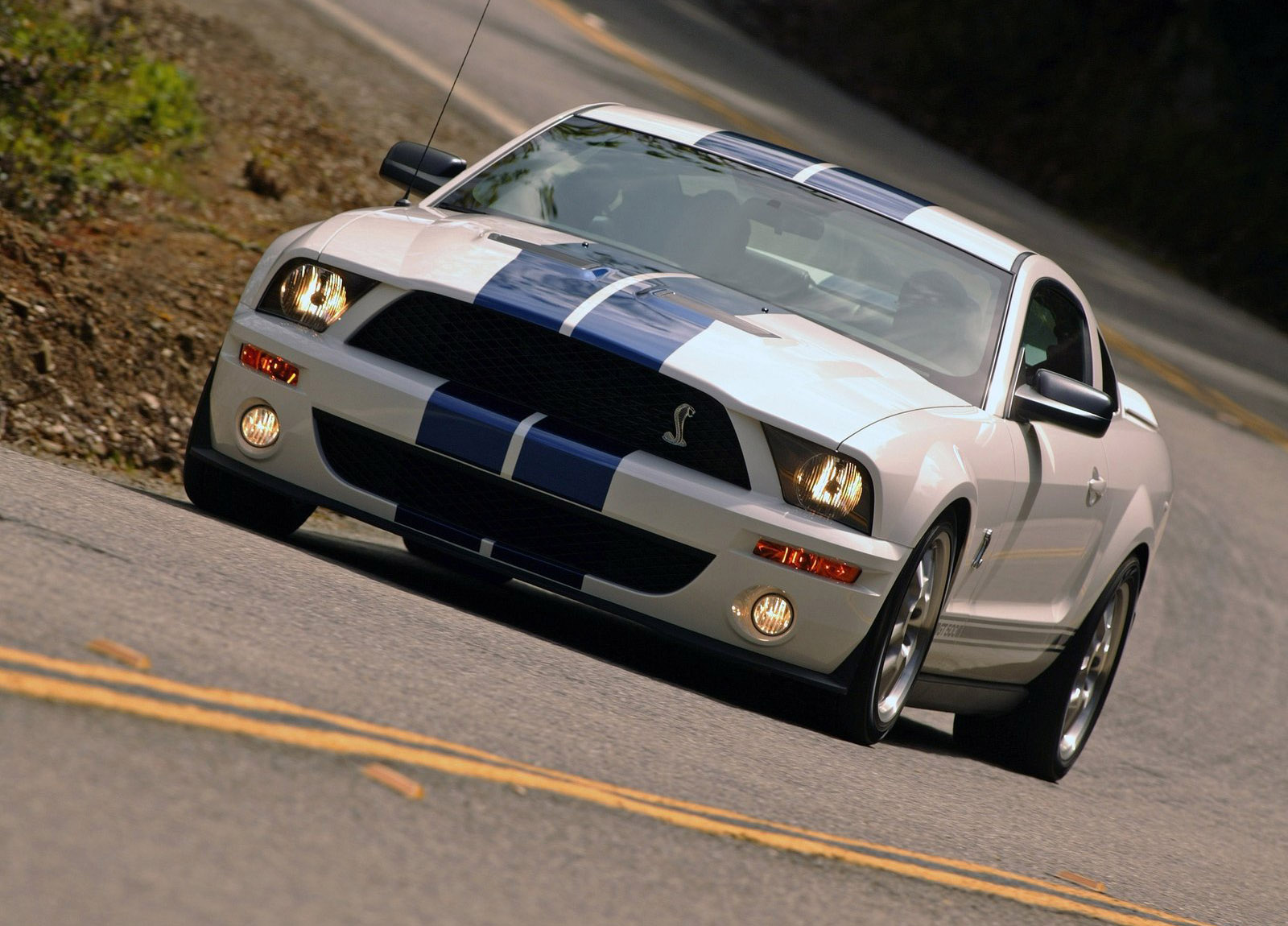 Shelby Ford Mustang GT500 photo #19