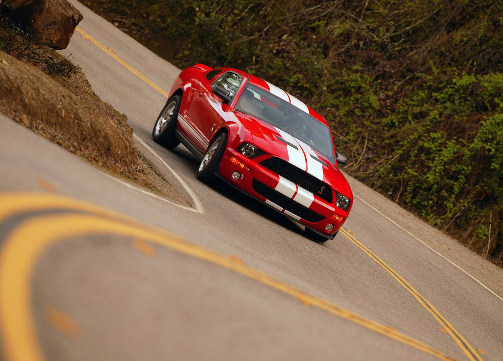 Shelby Ford Mustang GT500 photo #20