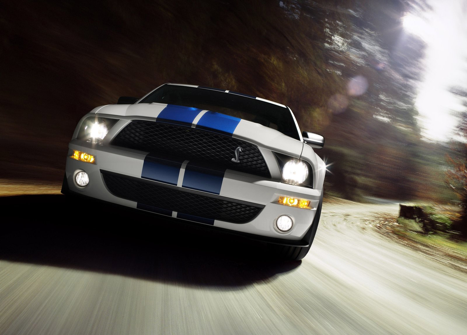 Shelby Ford Mustang GT500 photo #28