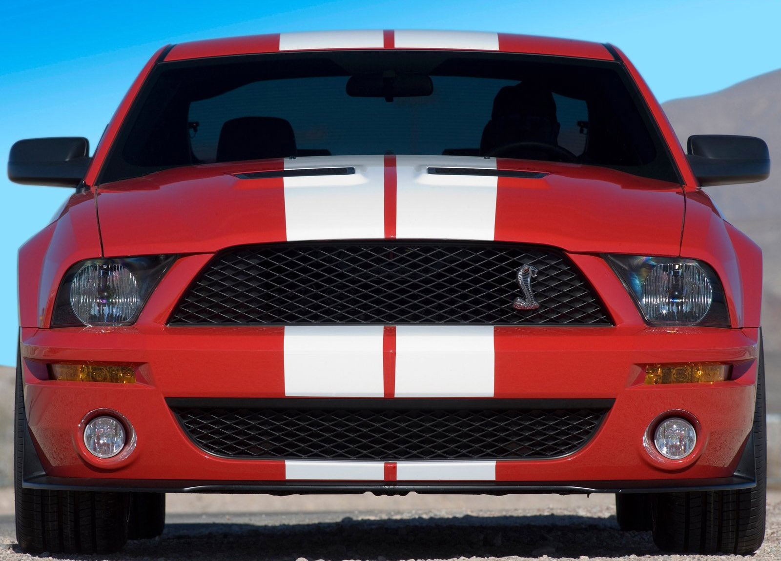 Shelby Ford Mustang GT500 photo #30