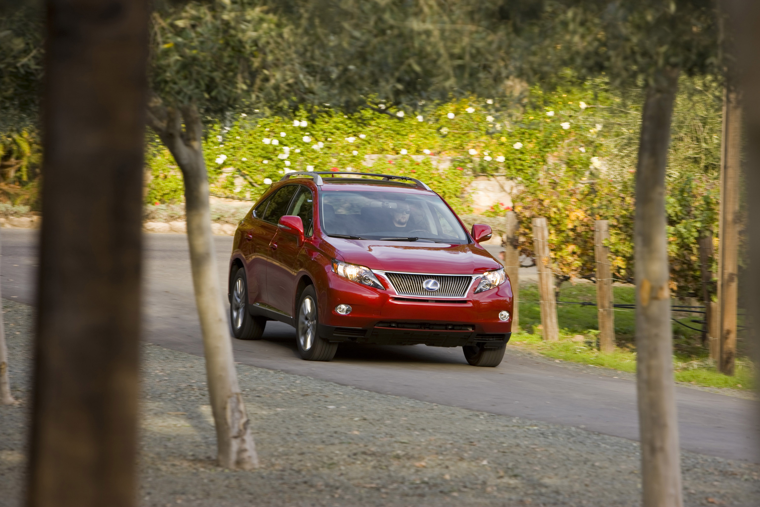 Lexus RX 450h photo #15