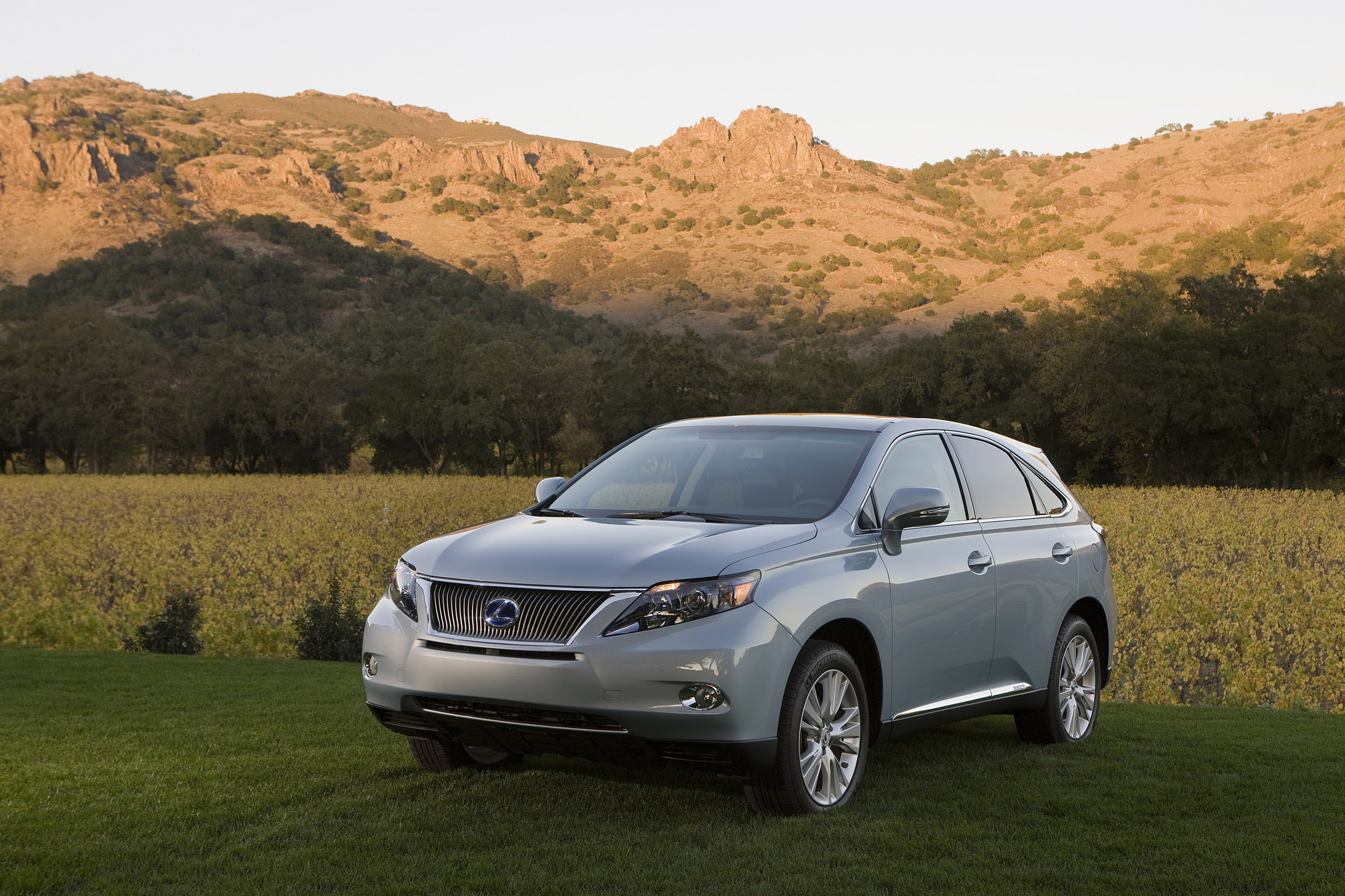 Lexus RX 450h photo #17