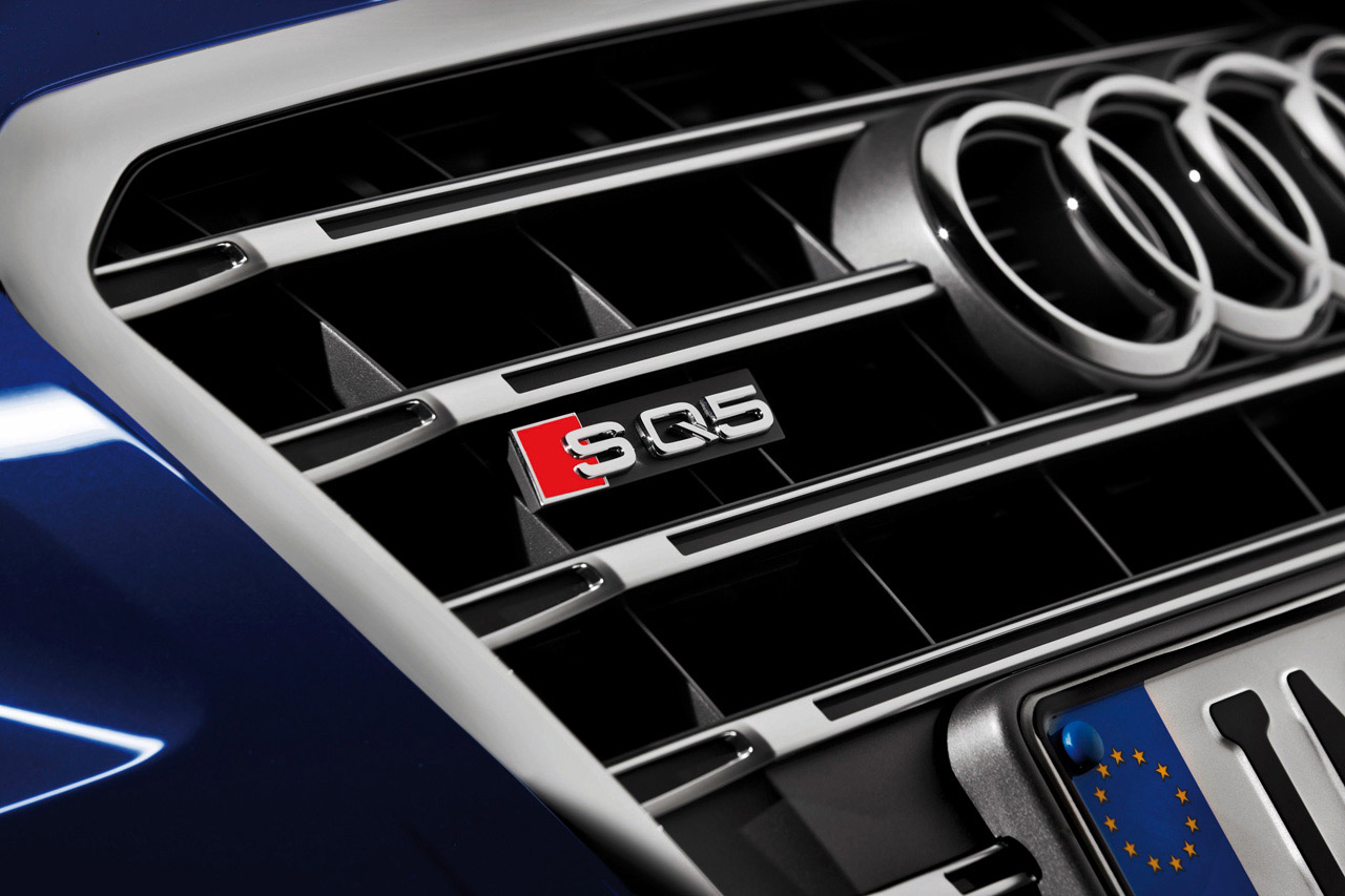 Audi SQ5 TDI photo #53