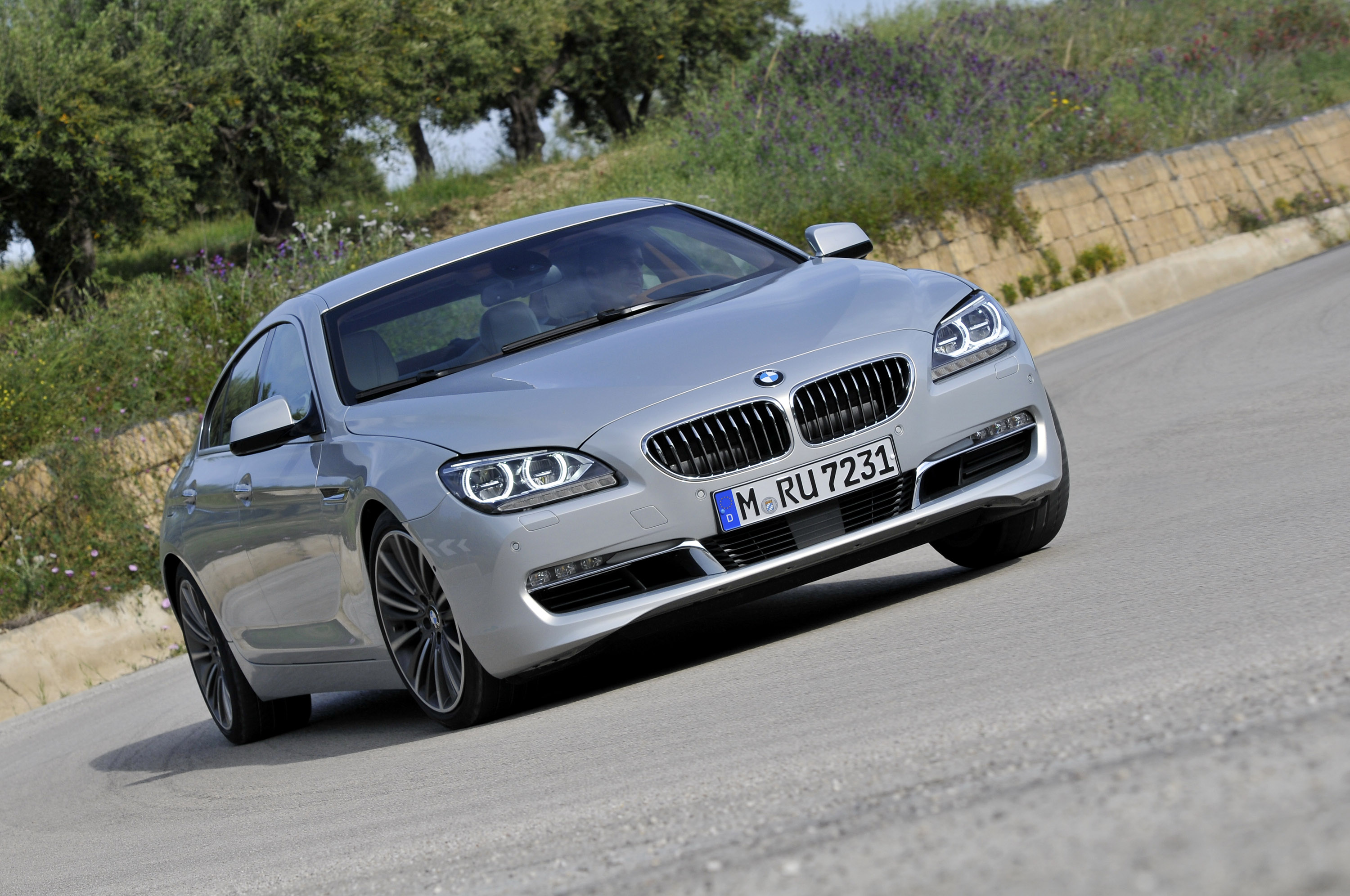 BMW 6-Series Gran Coupe photo #15