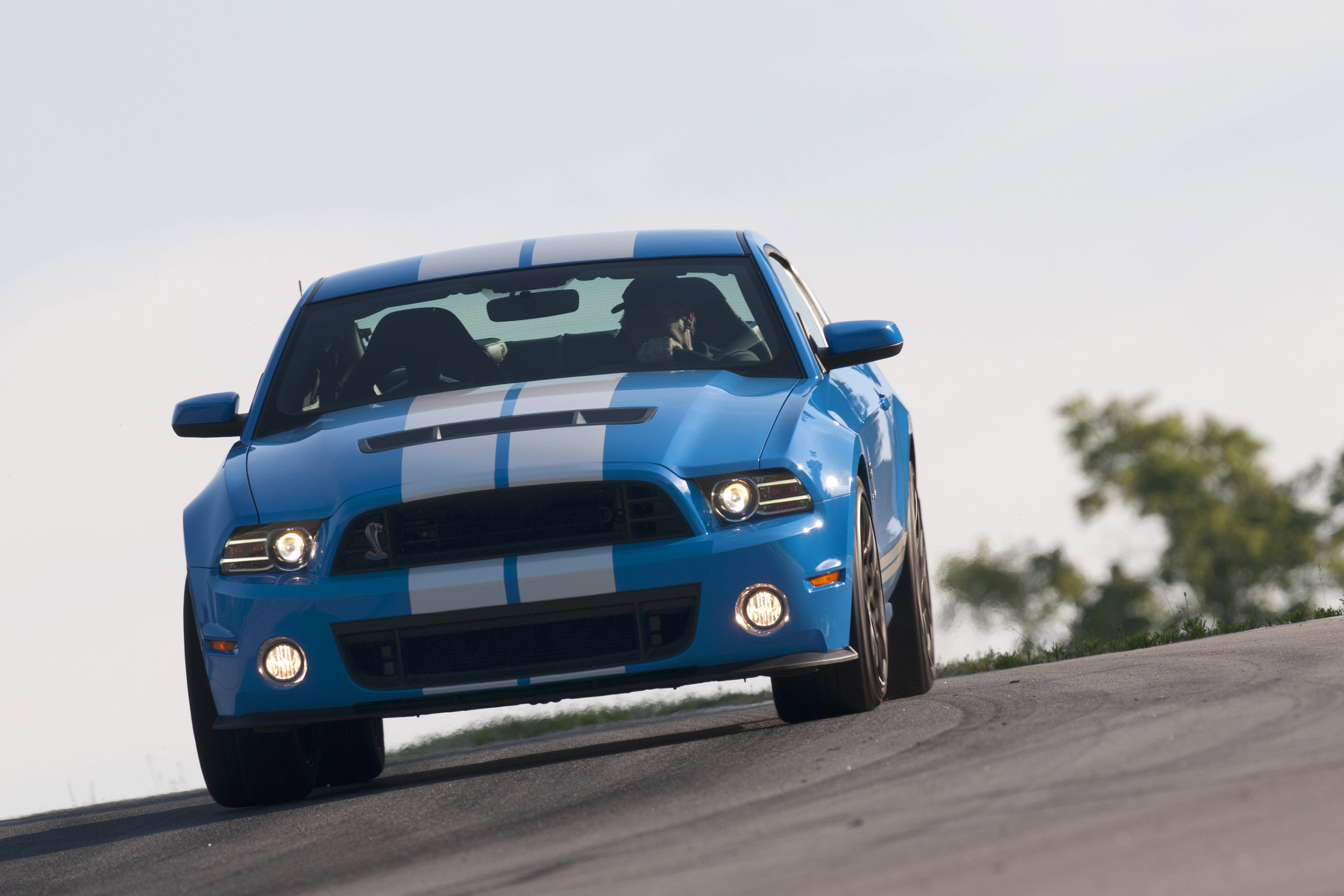 Ford Mustang Shelby GT500 photo #16