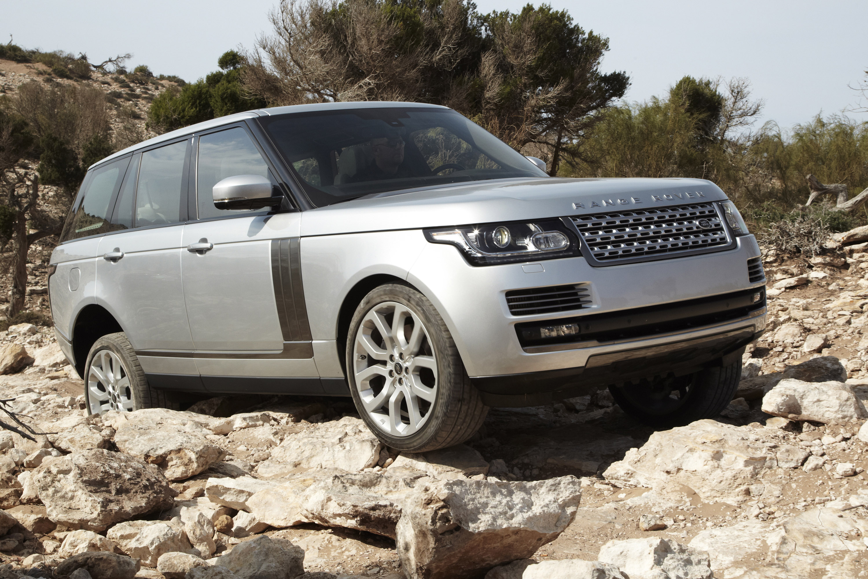 Range Rover photo #18