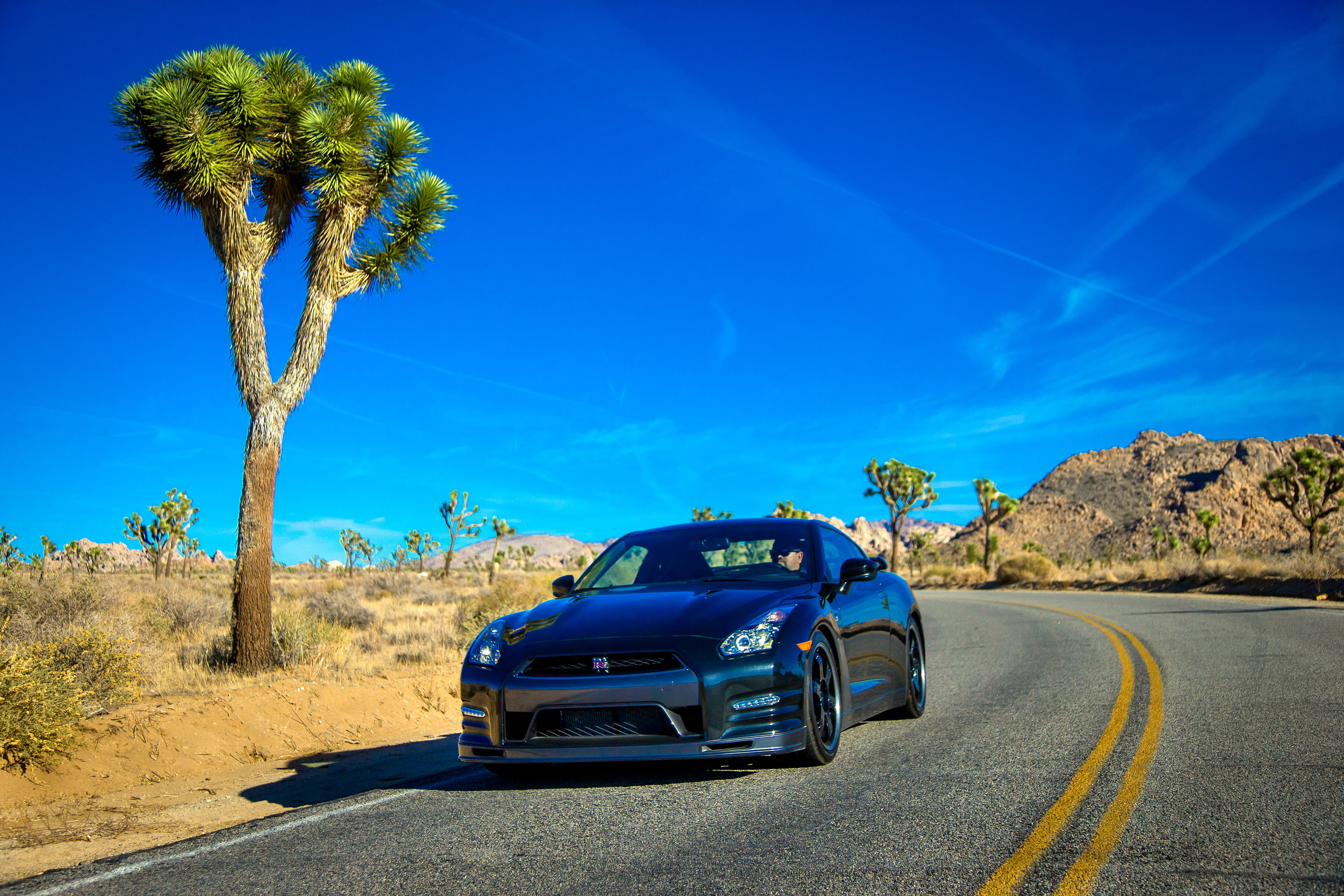 Nissan GT-R photo #15