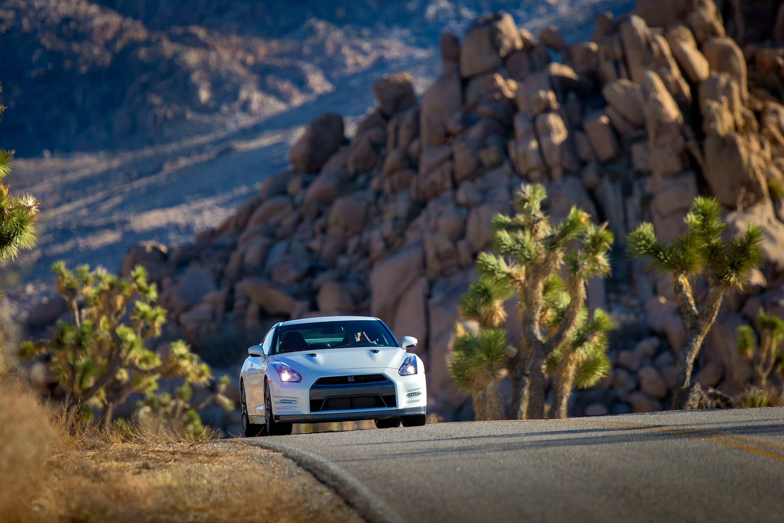 Nissan GT-R photo #17