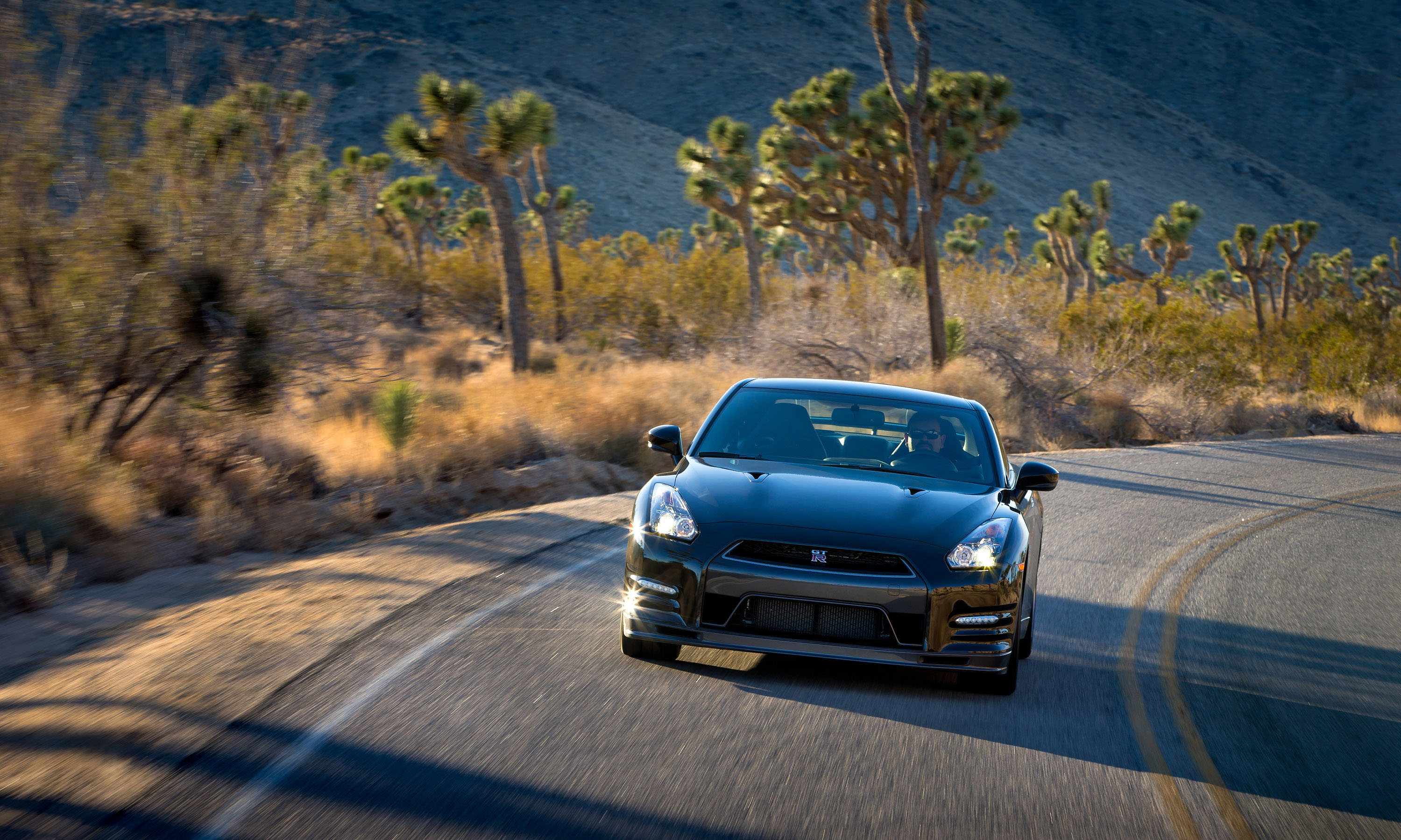 Nissan GT-R photo #22