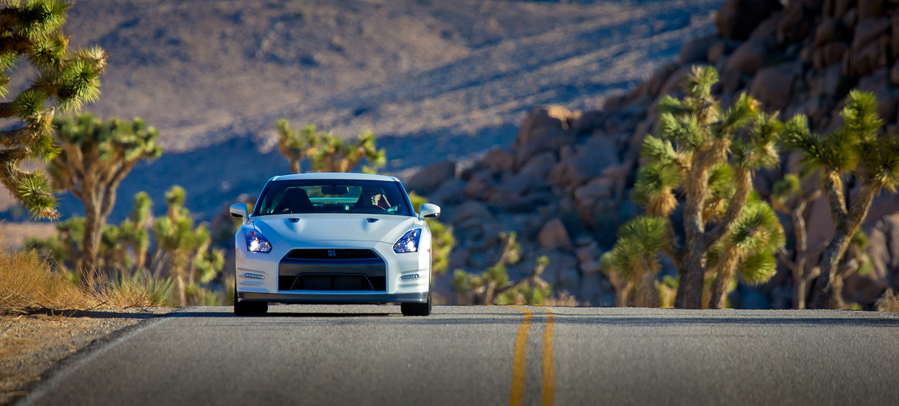 Nissan GT-R photo #23