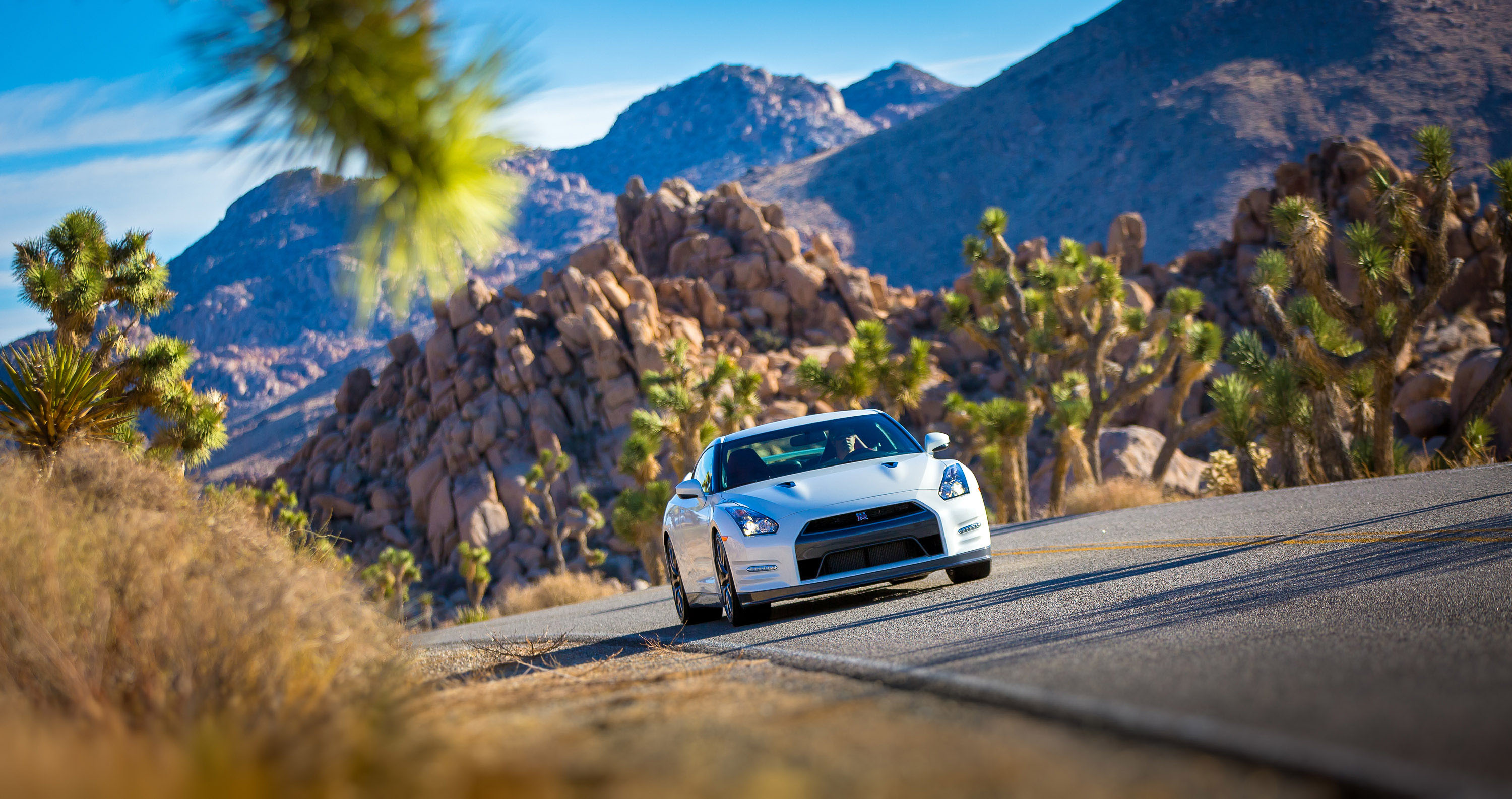 Nissan GT-R photo #36