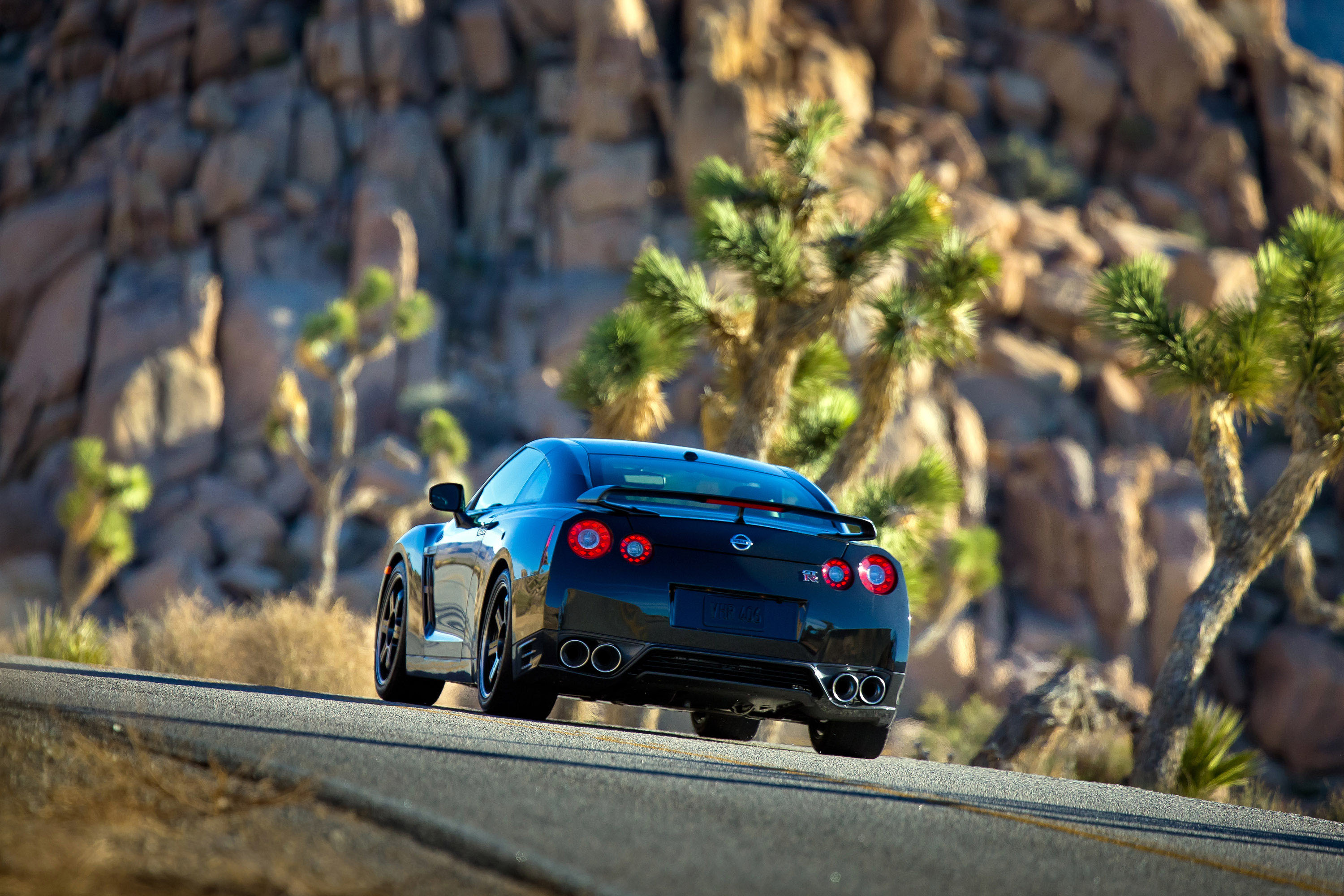 Nissan GT-R photo #60