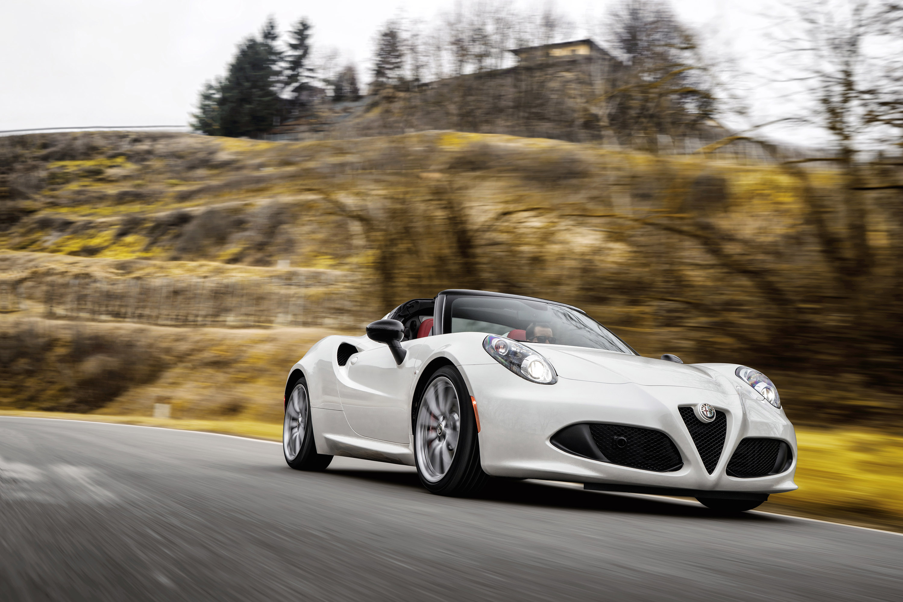 Alfa Romeo 4C Spider photo #19