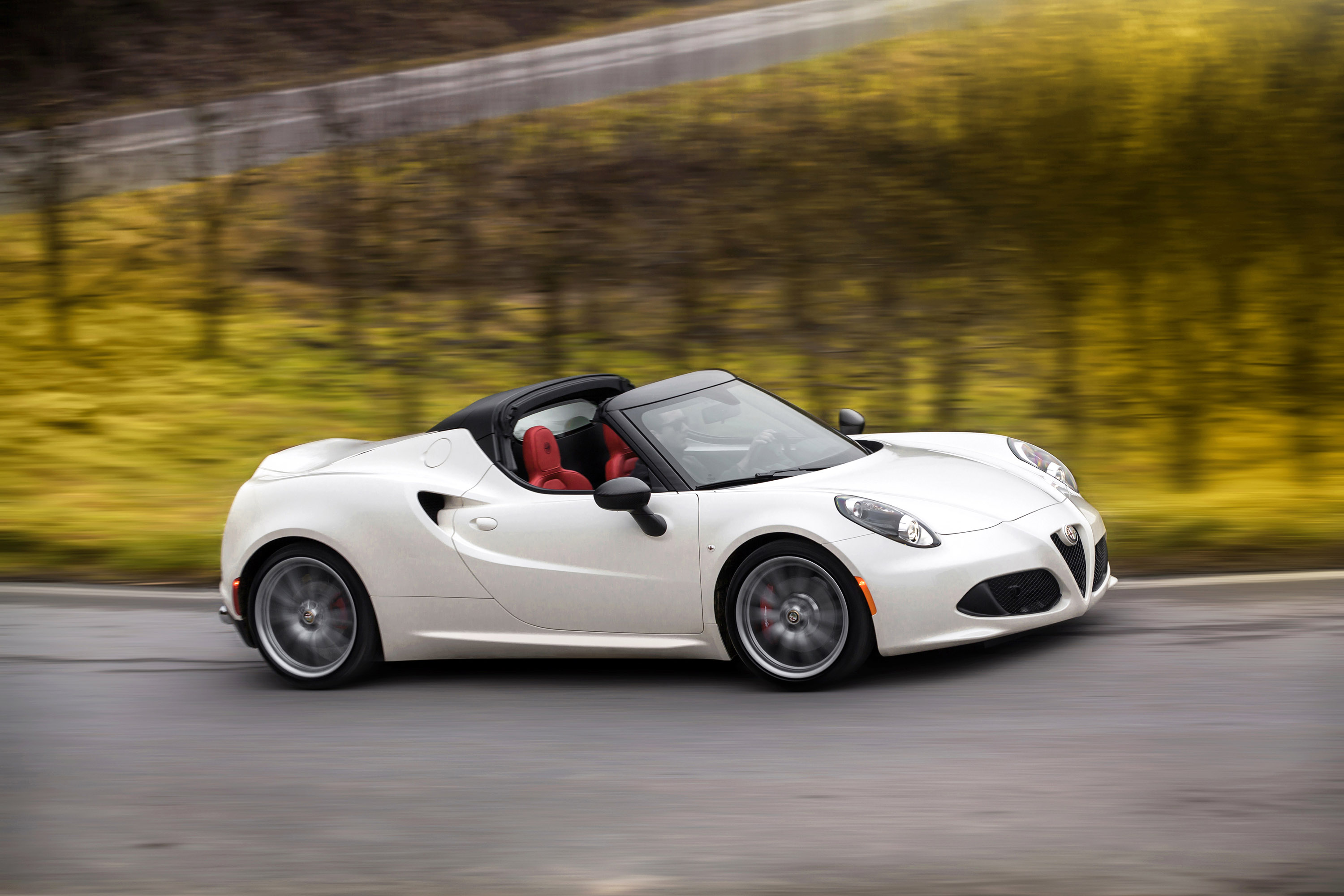 Alfa Romeo 4C Spider photo #21