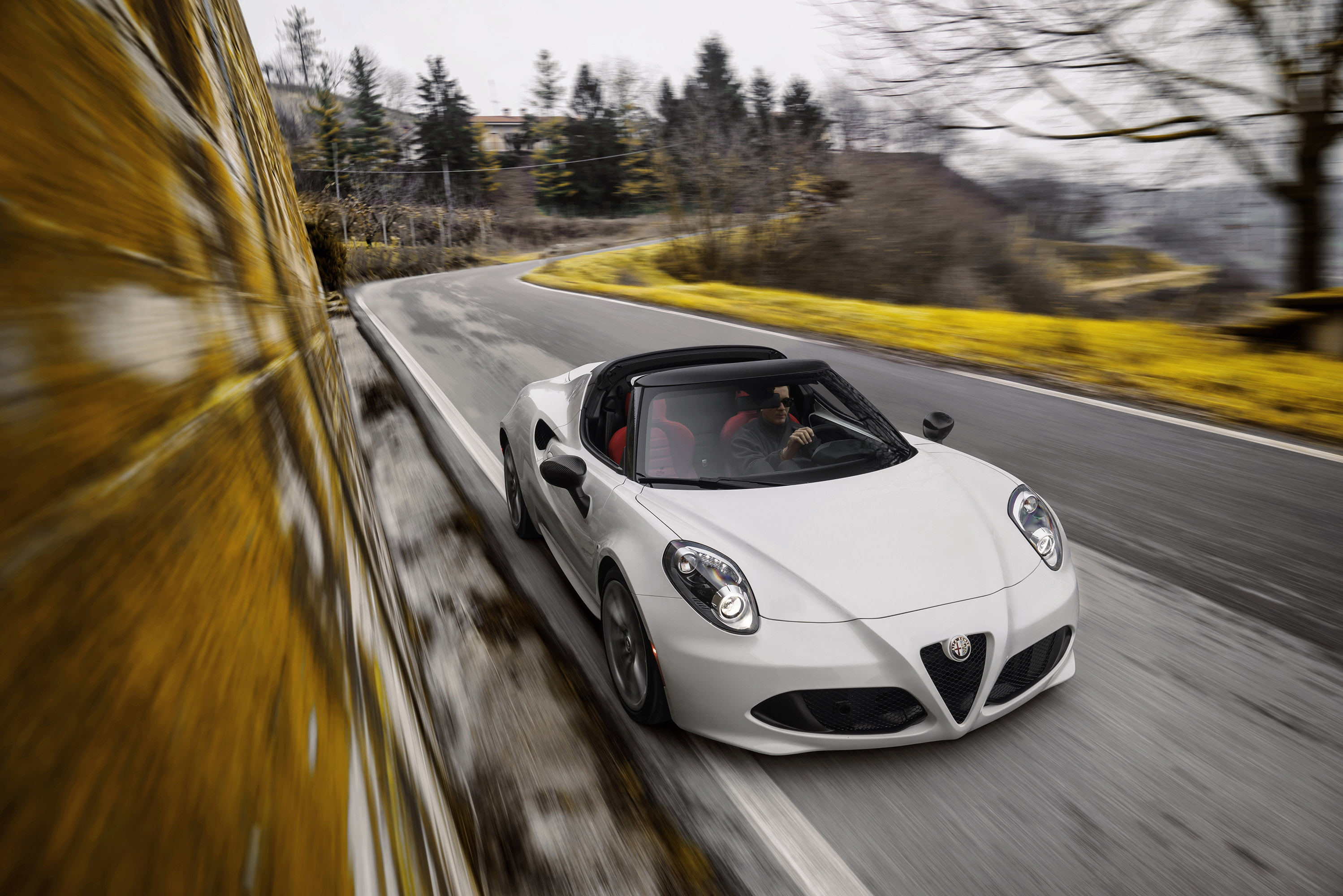 Alfa Romeo 4C Spider photo #22