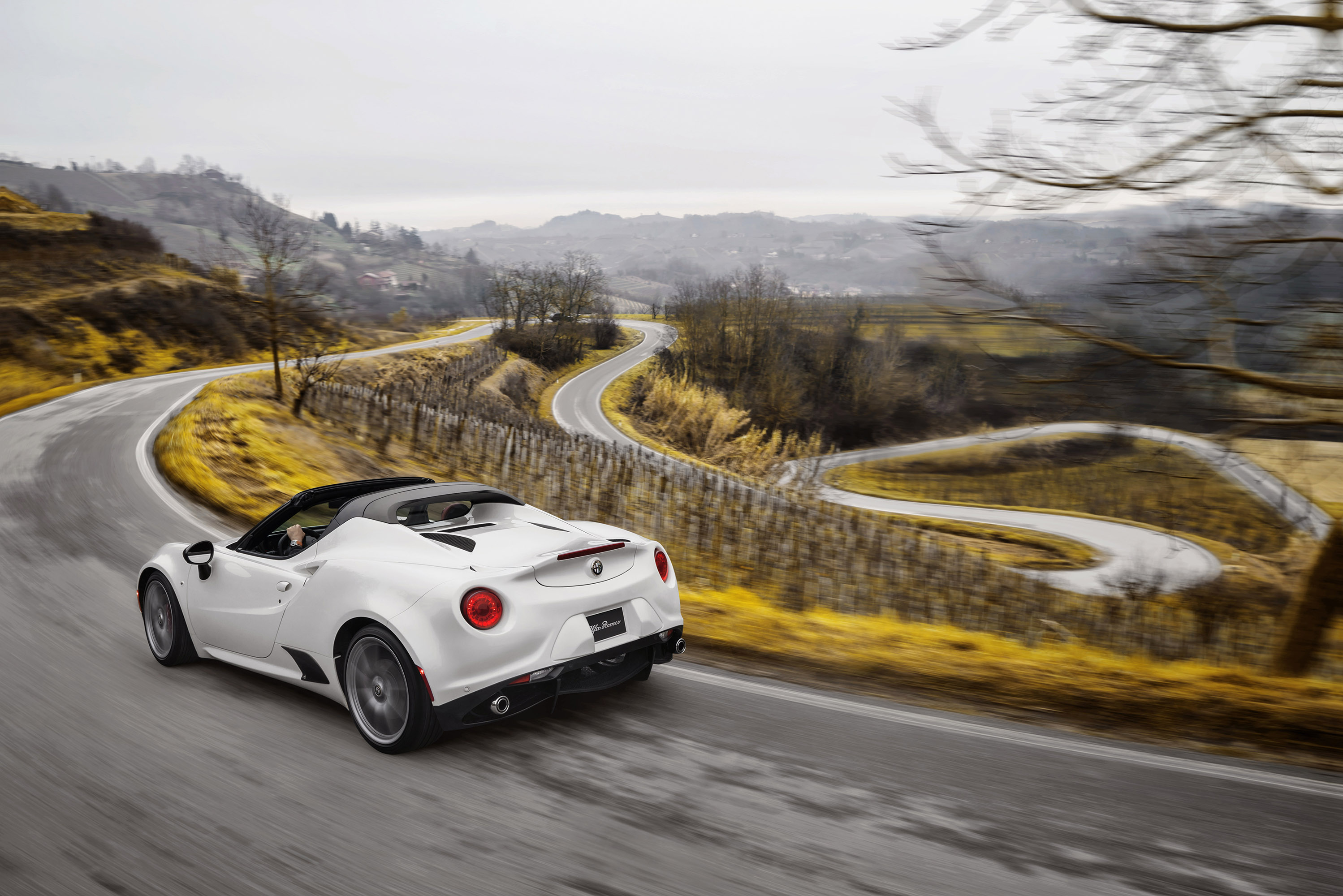 Alfa Romeo 4C Spider photo #31