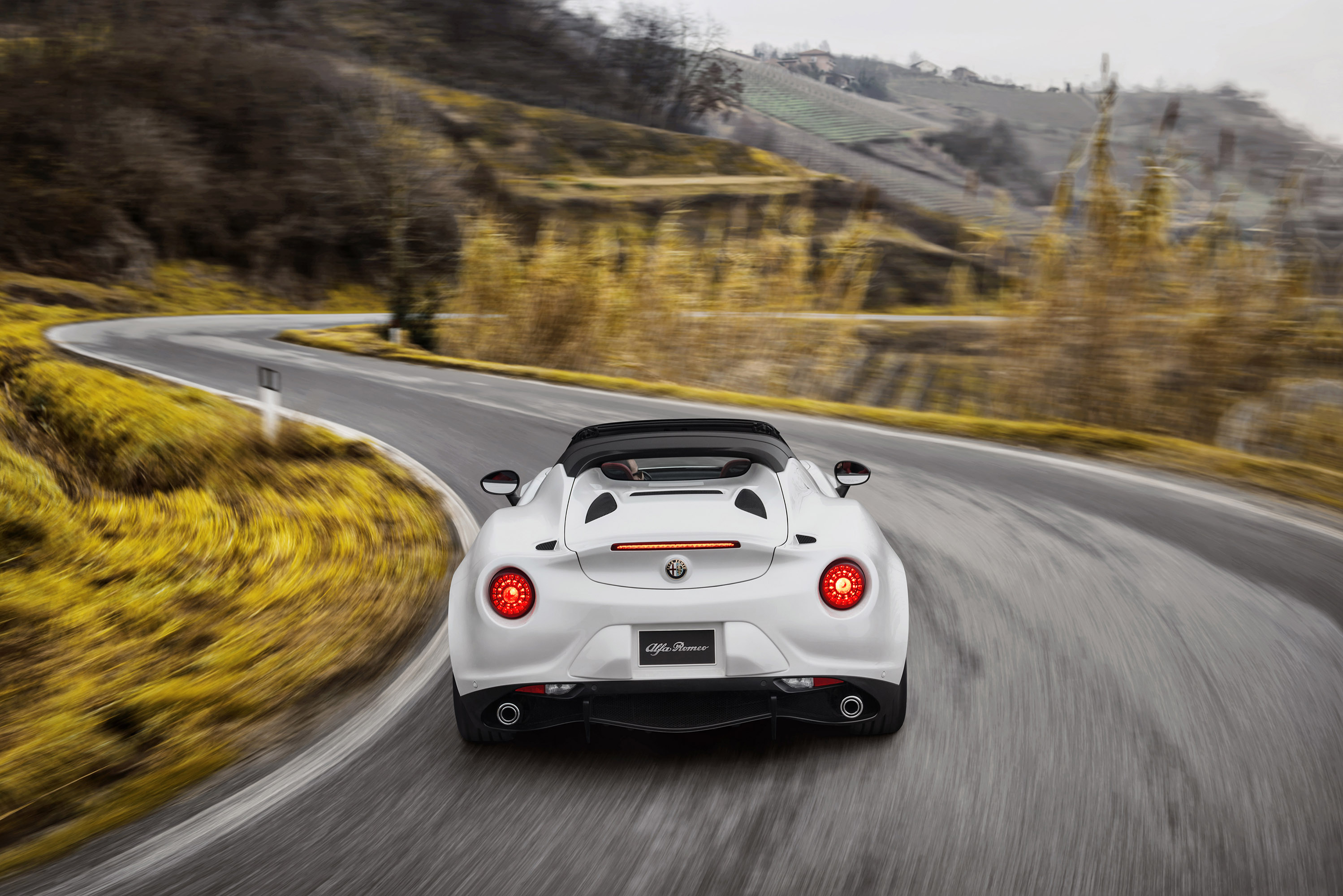 Alfa Romeo 4C Spider photo #33