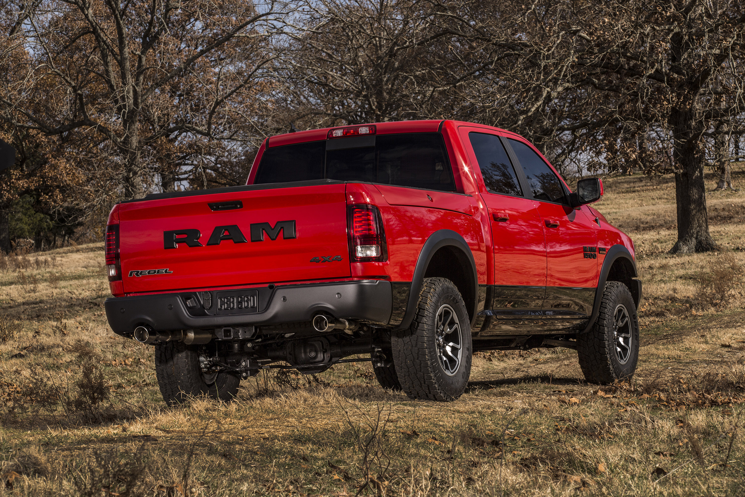 Dodge Ram 1500 Rebel photo #19