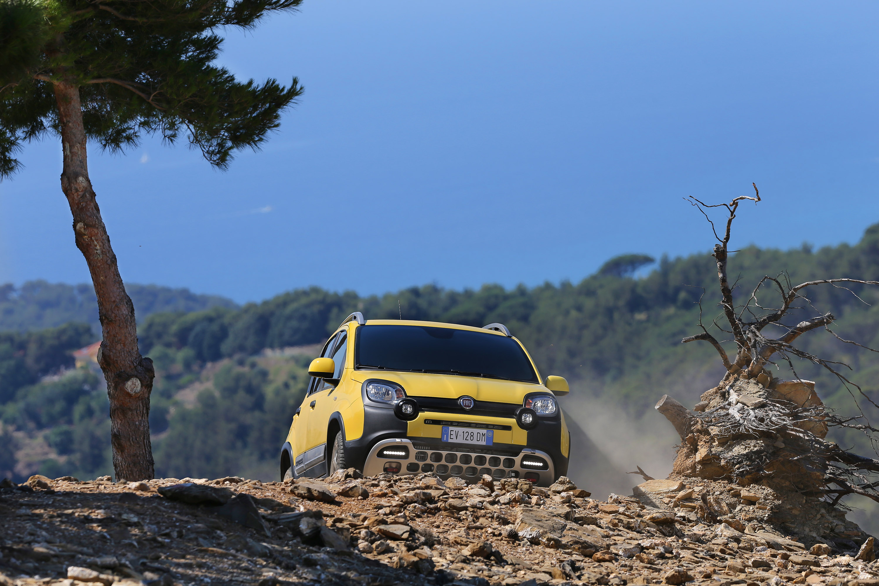 Fiat Panda Cross photo #19