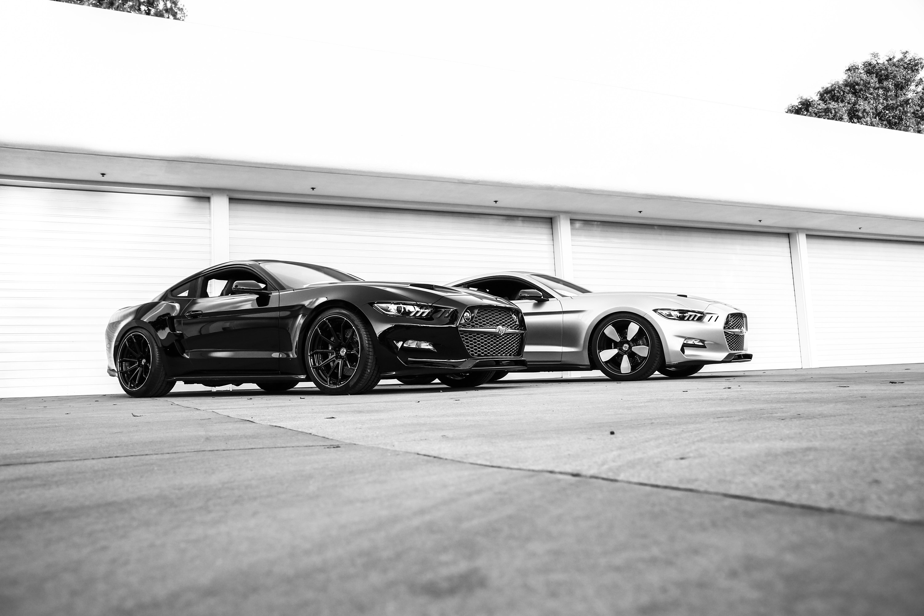 GAS-Fisker Ford Mustang Rocket photo #19