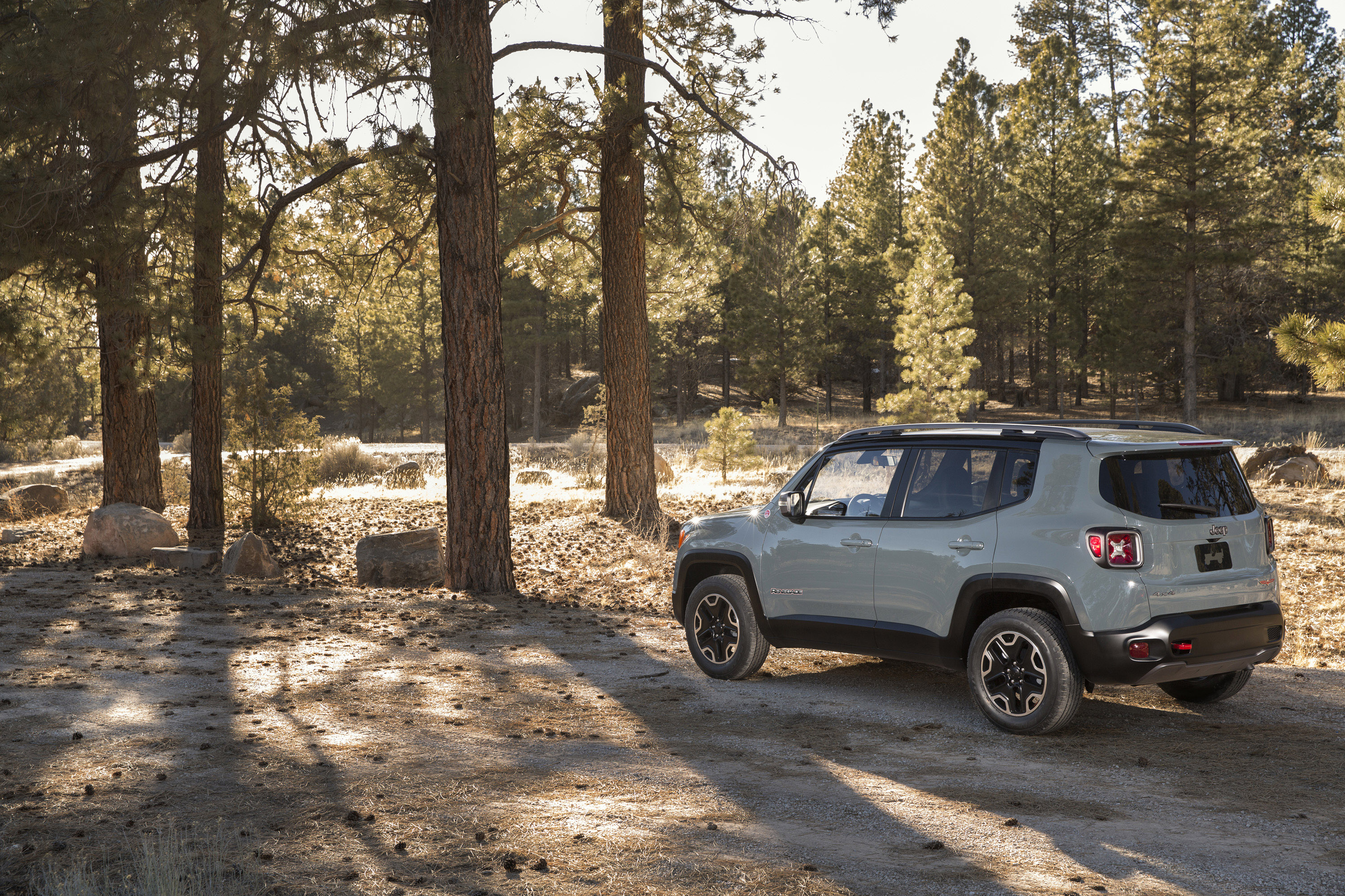 Jeep Renegade photo #61