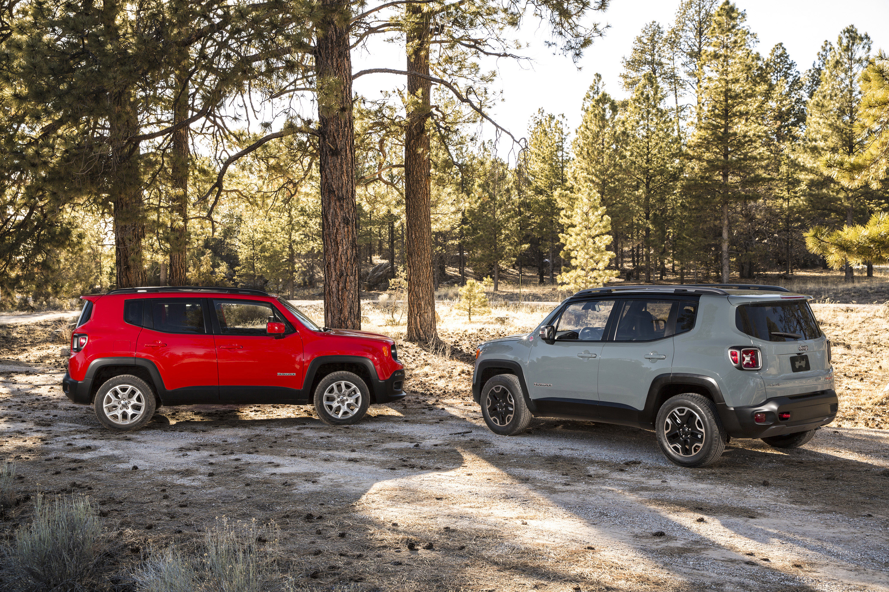 Jeep Renegade photo #64