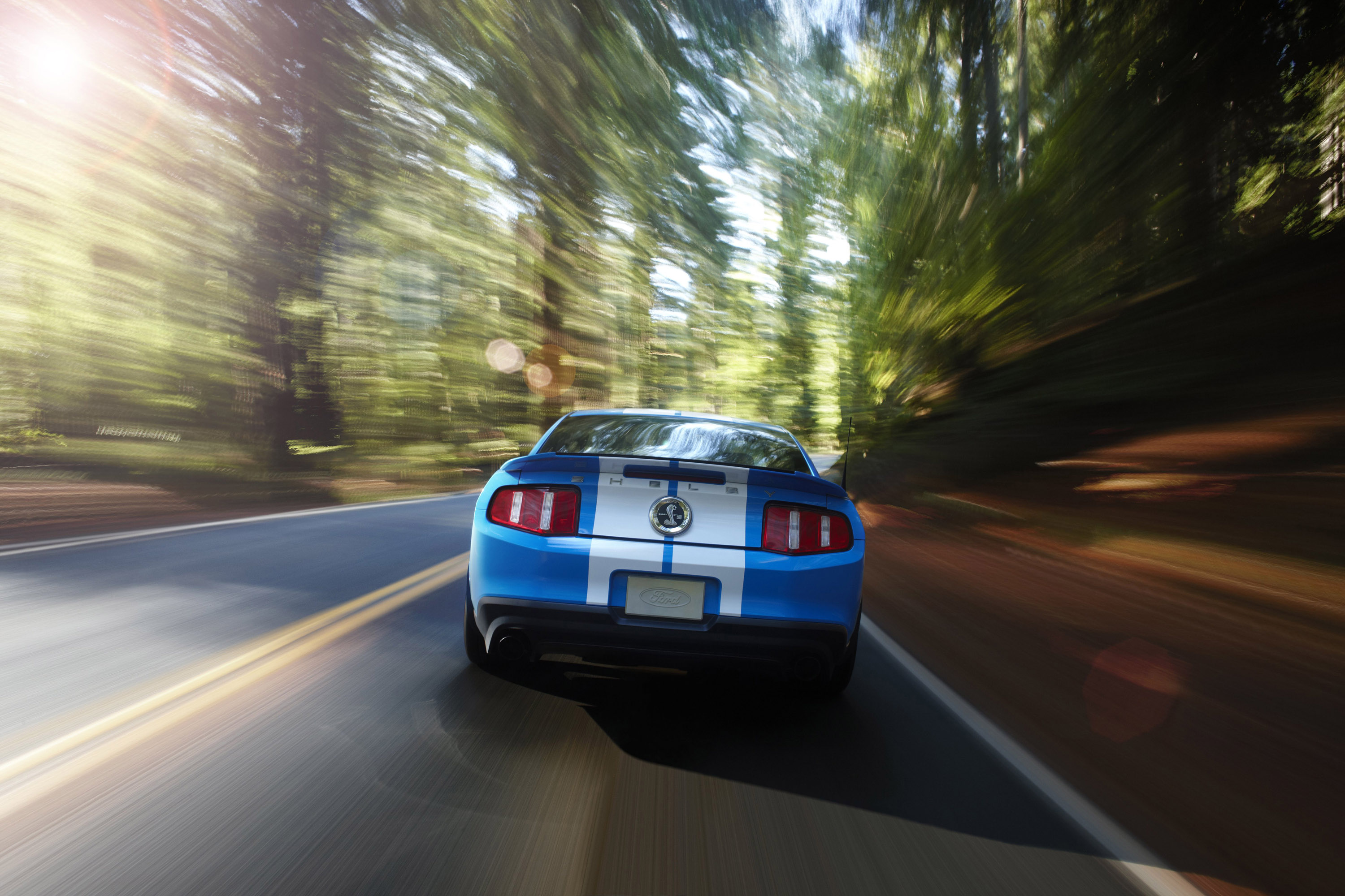 Mustang Shelby GT500 photo #18