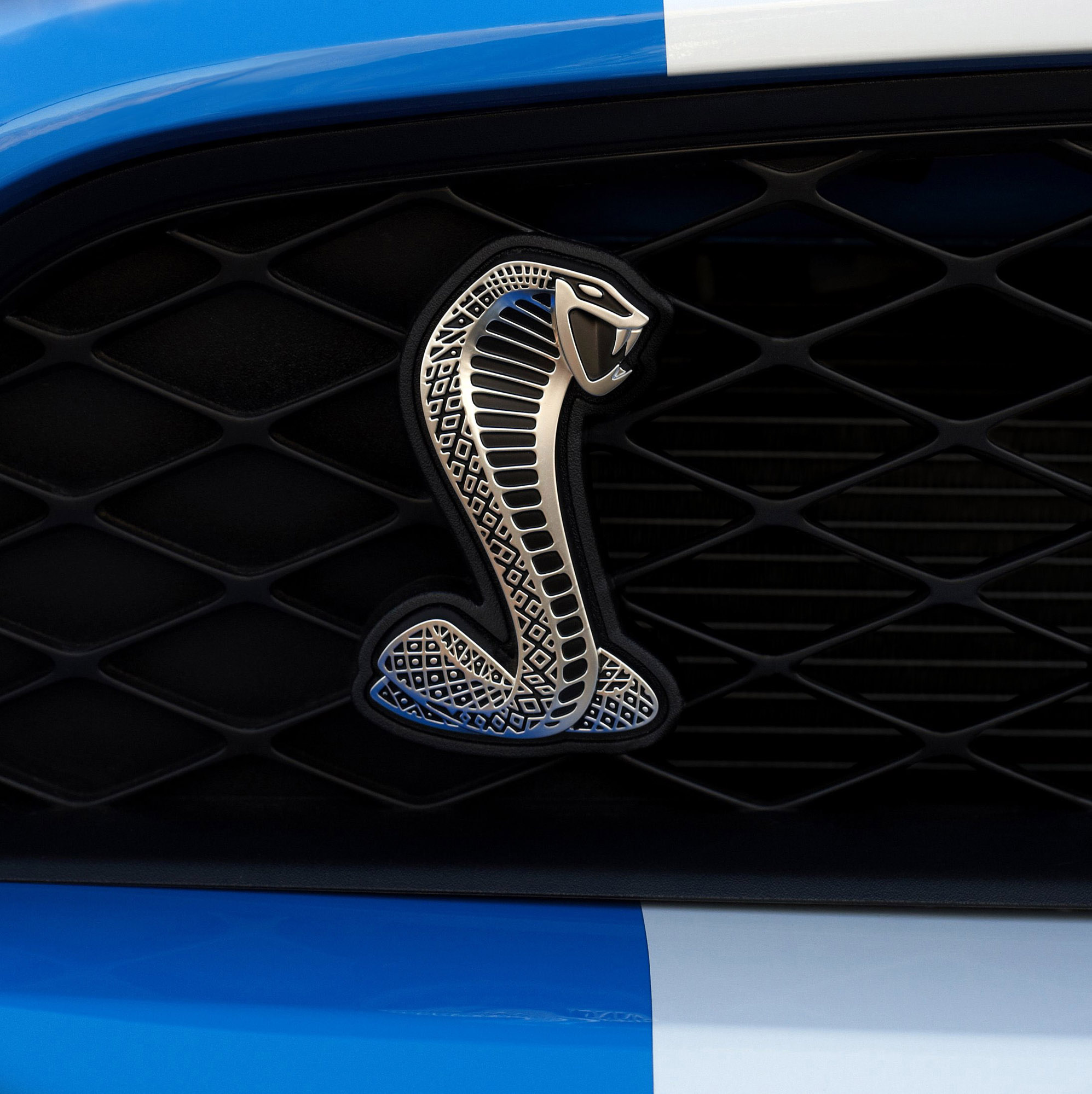 Mustang Shelby GT500 photo #20