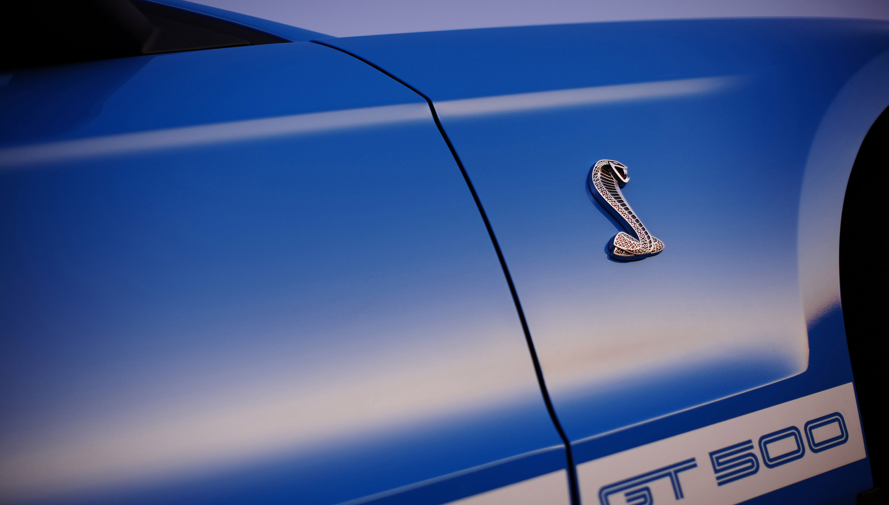 Mustang Shelby GT500 photo #28