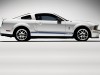 Shelby Ford Mustang GT500 2007