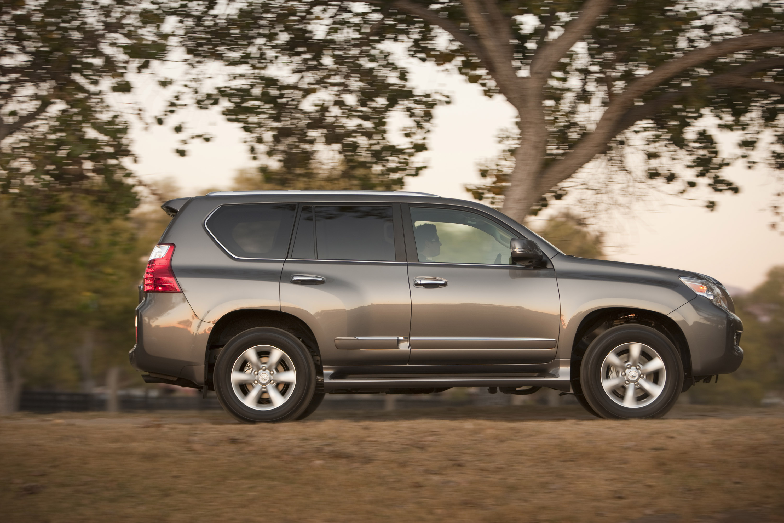 Lexus gx 460. Lexus gx460 серый. Лексус 460 серый. Лексус ГХ 460 2010. Лексус GX 460 серый.