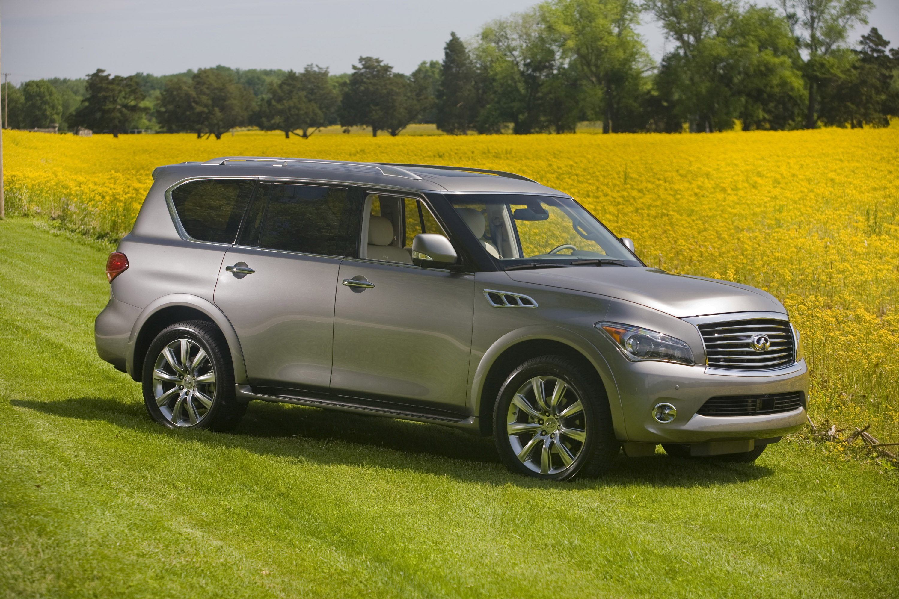 Infinity qx56