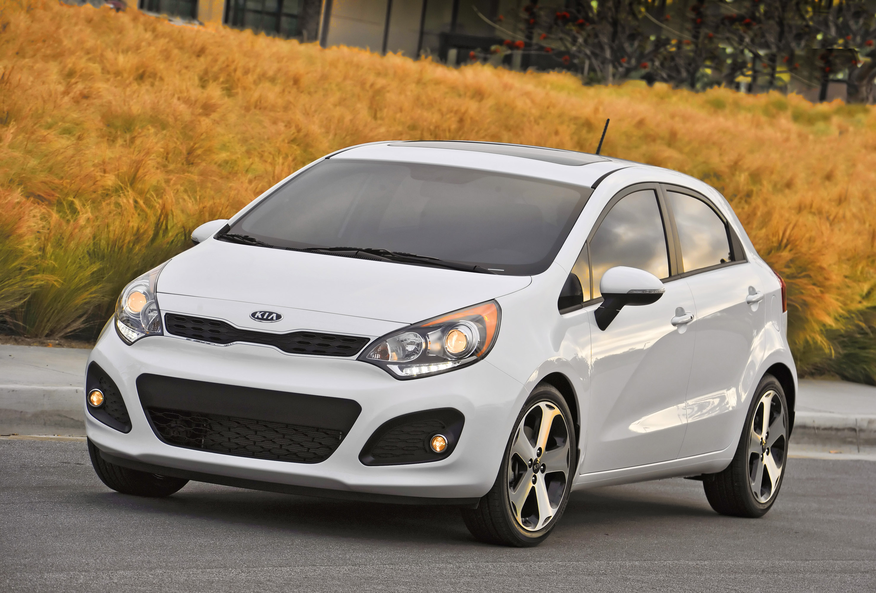 Кия киев. Kia Rio Hatchback 2014. Kia Rio 2014 хэтчбек. Киа Рио 5 поколения. Kia Rio Hatch 2013.