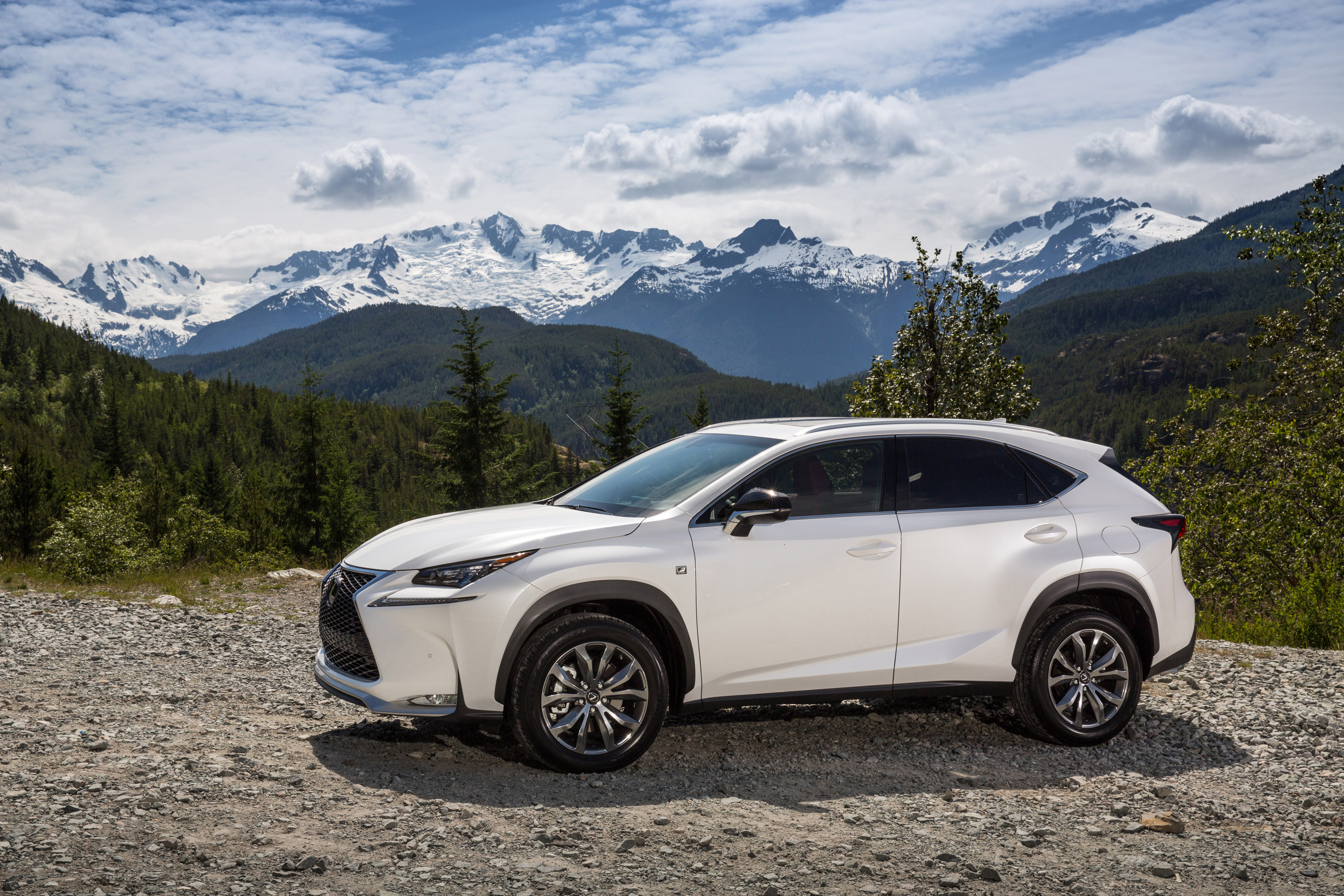 Лексус 200. Лексус NX 200. Лексус НХ 200 белый. Лексус NX белый. Lexus кроссовер nx200.